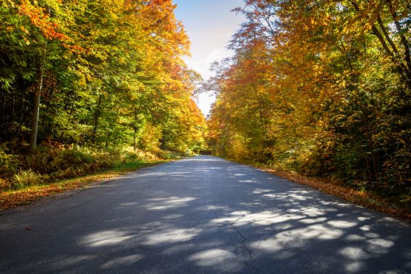 Cost of Blacktop Replacement in Little River
